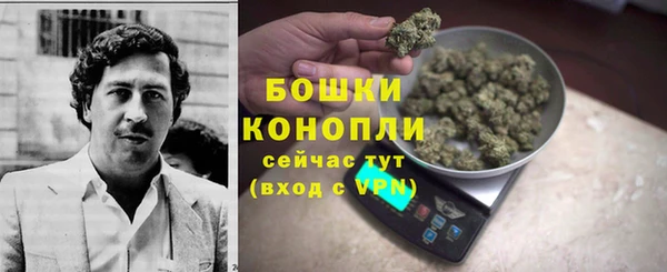 PSILOCYBIN Покров