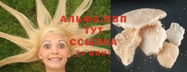 MESCALINE Покачи