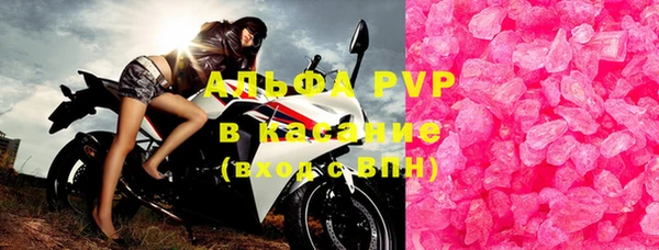 PSILOCYBIN Покров