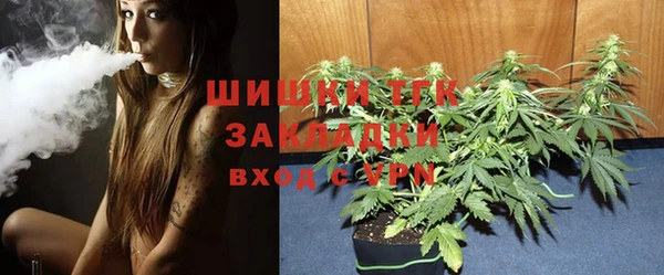 PSILOCYBIN Покров