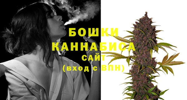 PSILOCYBIN Покров