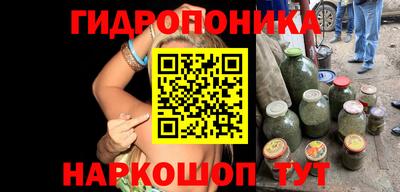 индика Балашиха
