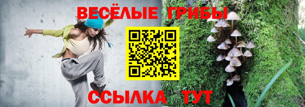 Галлюциногенные грибы прущие грибы  Галлюциногенные грибы Psilocybe  Соликамск  Вход с VPN 