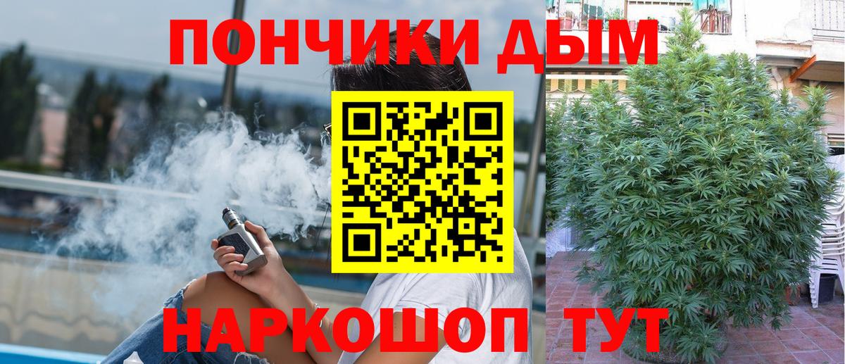 Бошки Шишки SATIVA & INDICA Соликамск